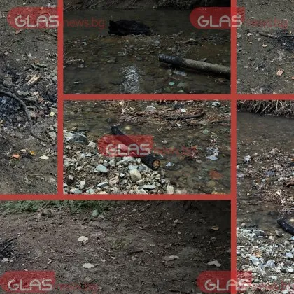 Читатели на GlasNews видяха обгорели дървета в "Ловен парк". Дело на децата пиромани от Борисовата?