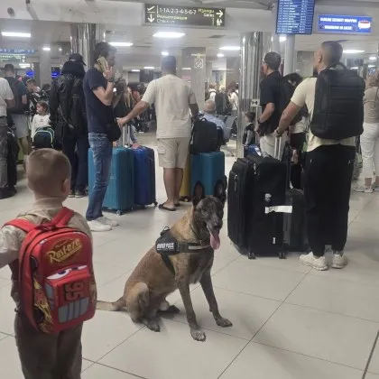 На една смяна, с една задача: Човек и куче търсят с надеждата да не намерят