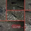 Читатели на GlasNews видяха обгорели дървета в "Ловен парк". Дело на децата пиромани от Борисовата?