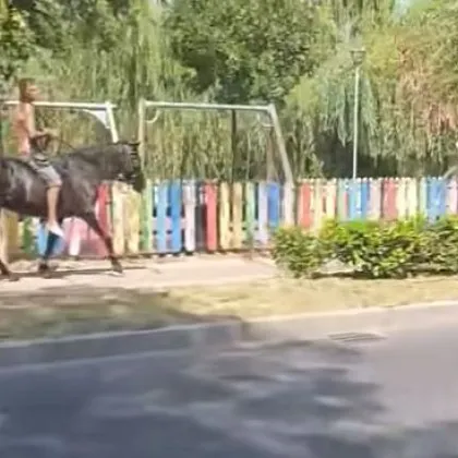 Невръстен каубой препуска из Пловдив ВИДЕО