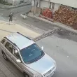 Алабай разкъса пудел и нахапа дете в Банско ВИДЕО