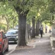 Мляко, яйца и две тежки торби: Един възрастен мъж постави софиянци пред труден избор
