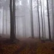 &bdquo;Ел Ниньо" ще влияе и на зимата в Европа. Какво ни очаква?