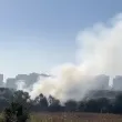 Пожар в сметище във &bdquo;Филиповци" вдигна &bdquo;Люлин" на крак: &bdquo;Мислехме, че гори у дома" ВИДЕО