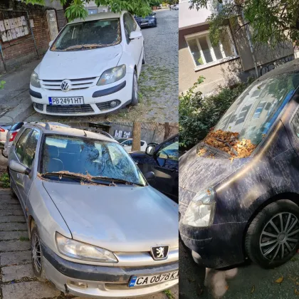 Автомобили гният от години по улиците в Пловдив. Къде е контролът?