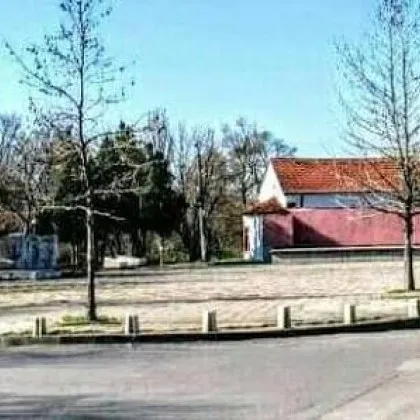 Брутален вандализъм в &bdquo;Ботунец": Натрошиха стъкло и сипаха захар в резервоара на кола СНИМКИ