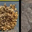 4,5 кг сребро под земята: Откриха рекордно съкровище от епохата на викингите