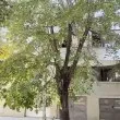 &bdquo;Влязох в къщата на ужасите": Нови разкрития за смъртта на бебето във Варна