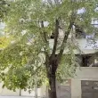 "Не мога да мълча при неправда": Близка на Александрина от Варна разказва зловещи детайли