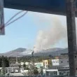 Огромен стълб дим се издигна над Стара Загора: Пожар пламна край &bdquo;Лозенец" СНИМКИ