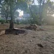 Столичен парк затъна в боклуци СНИМКИ
