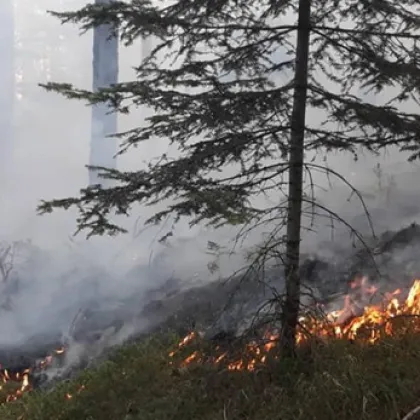 Пожари бушуват на няколко места в страната