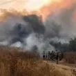 Пожарът над Царев връх е изгасен