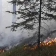 Пожари бушуват на няколко места в страната