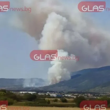 Дъждът помогна в битката с огнената стихия край Димовци
