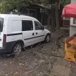 Клон падна върху кола в Чирпан: сигналът чака цяло лято