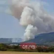 4 постройки и 2100 декара горски масиви са изгорели изгорели при пожара в Димовци