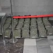 Разкриха високотехнологична наркооранжерия край Стара Загора, иззеха близо 70 кг марихуана