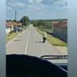 Баба даде газ край Варна и стана звезда ВИДЕО