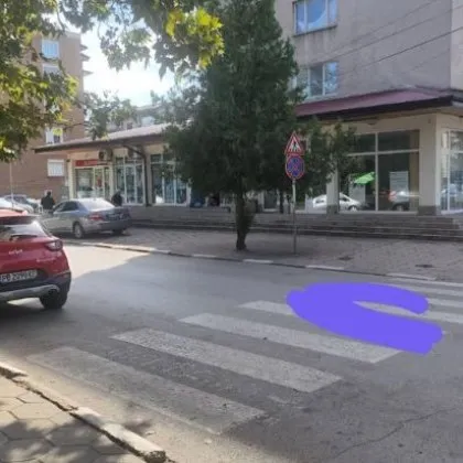 Майка с три деца обвини автоинструктор, че ѝ отнема предимството на "зебра"