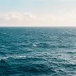 Откриха мъртва 75-годишна бургазлийка до Моста в Бургас