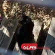 Слънчево и топло ще е днес