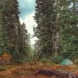 Мечки нападнаха палатка на туристи край София