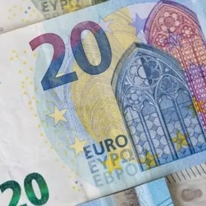 Шофьор пробва полицаи с 20 евро