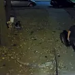 "Ей, Шампионе!": Дръзка нощна кражба на тротинетка в Разград, мрежата издирва апаша