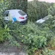 Градско сафари в Благоевград: Изоставена бракма потъна в общинската джунгла край Обувната
