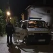 Мъж простреля котка в Плевенско. После намериха друга в капан ВИДЕО СНИМКИ