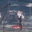Огнен ад край Пловдив! Загина пастир, изгоряха десетки животни