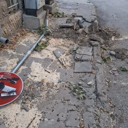 Камион помете знак и дърво във Варна, остави тротоара на съставни части СНИМКИ