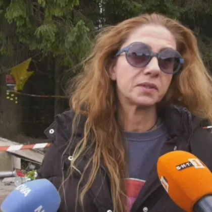 Ралица Асенова: Прокуратурата да се самосезира за разрушената плоча на "Петрохан"