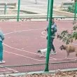 Редно ли е? Домашни кучета "превзеха" игрище СНИМКИ