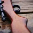 Ужас край Пловдив: Дама твърди, че е била ударена от сачма в собствения си двор