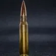Екзекутират десет души, осъдени за тероризъм