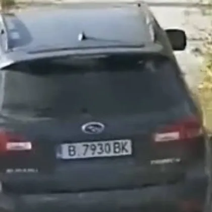 Шофьор прегази куче във Варна и продължи по пътя си с газ СНИМКИ