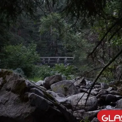 Откриха труп на Витоша