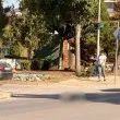 &bdquo;Блъснаха кученце и продължиха": Жена разказва за жестока гледка в Козлодуй