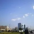 Минно поле в "Дружба 2": Недобросъвестни стопани превърнаха междублоково пространство в кучешка тоалетна