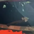 &bdquo;Заплахите стават все по-брутални": Въведоха ново "оръжие" във войната за паркоместа