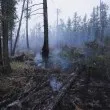 Един загинал и 120 потушени пожара в страната за денонощие