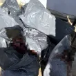 Разкриха нерегламентиран добив на конско месо в Сливенско