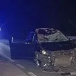 Смърт на пътя: Кола се вряза в крава на Подбалканския път, пострада жена СНИМКА