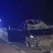 Мъртвопияна се оказа шофьорката, която се вряза в крава на Подбалканския път СНИМКА