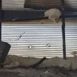 Вандали превърнаха планински заслон на Витоша в мишена СНИМКИ