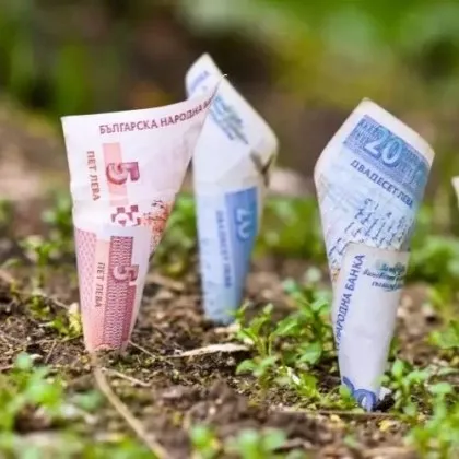 Дават на съд счетоводителка, присвоила 200 бона, предвидени за рента