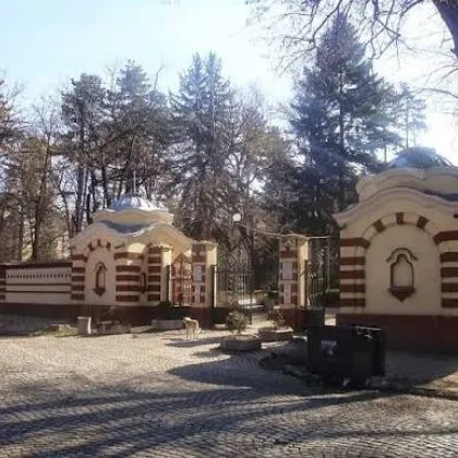 Защо тази маневра е опасна за участниците в пътното движение? ВИДЕО