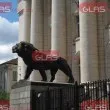 Съдят управител за смъртта на работник, паднал от покрив в София